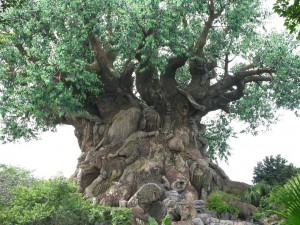 tree of life 300x225 September 11th Survivor Tree: The Meaning of Life